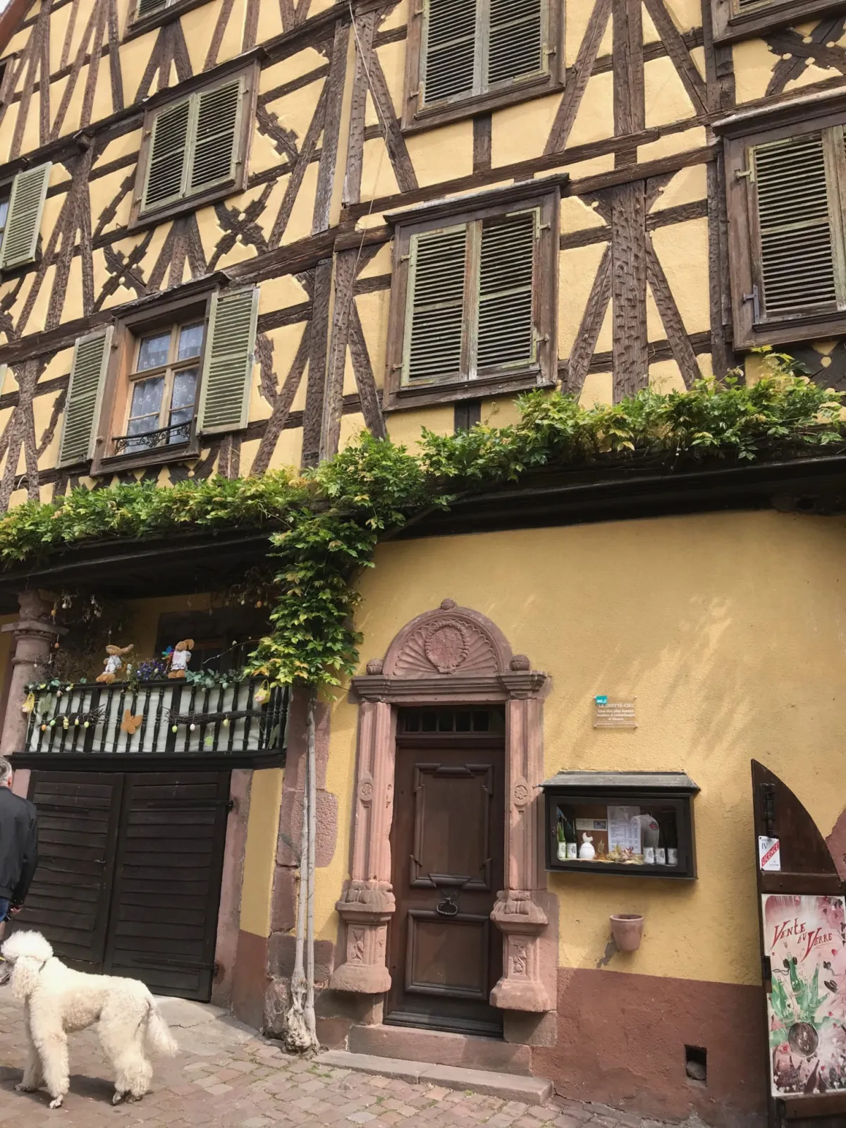 Radwoche 2019 – Foto 31